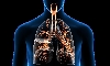 Respiratory Problems